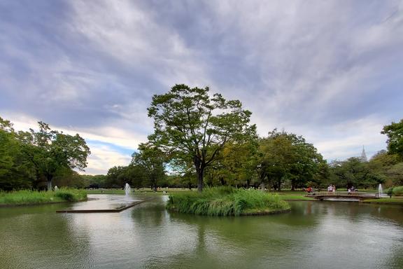 Yoyogi Park 代々木公園