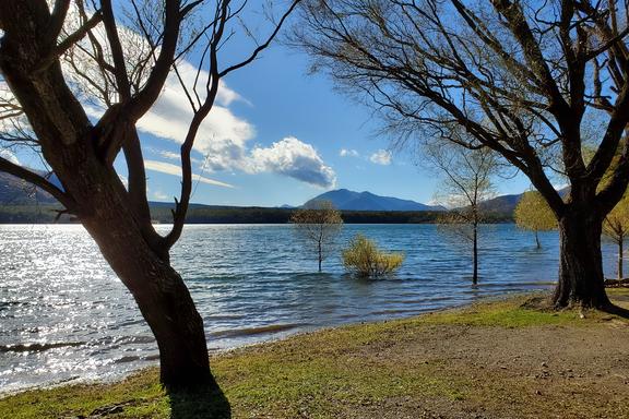 Lake Saiko 西湖 • Lake Shoji 精進湖