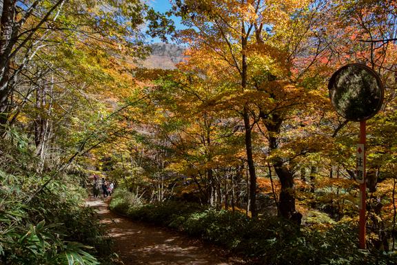 Mt. Daibosatsu 大菩薩嶺