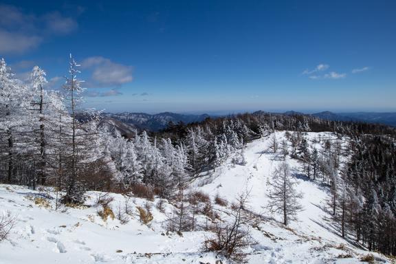 Mt. Kumotori 雲取山 (Revisit)