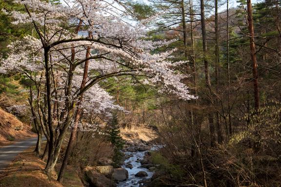 Mt. Mitsutoge 三ッ峠山