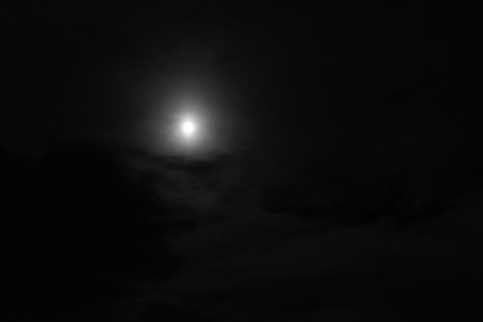 IMG_2184.jpg